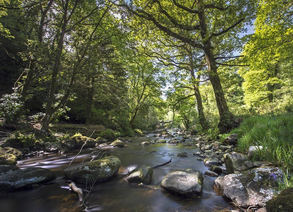 Ballyteige Lodge Ballyteige Bridge 外观 照片