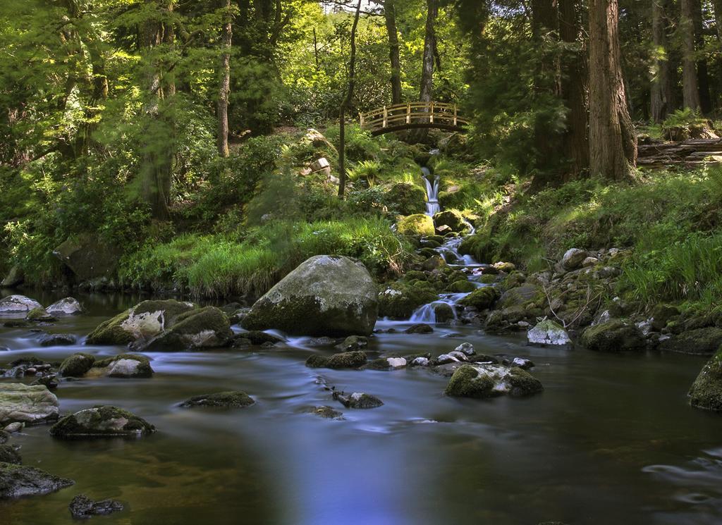 Ballyteige Lodge Ballyteige Bridge 外观 照片