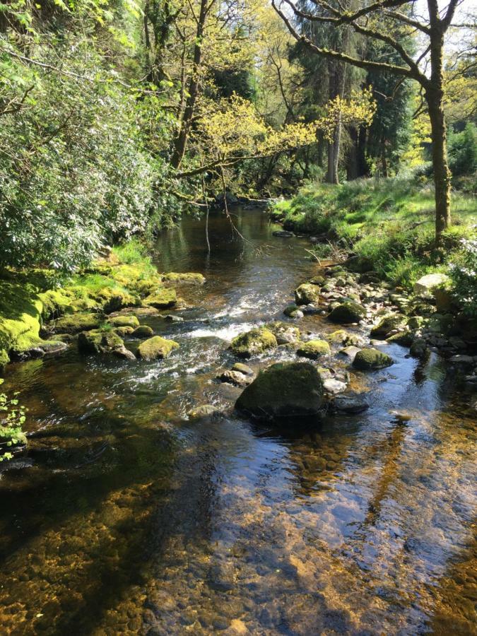 Ballyteige Lodge Ballyteige Bridge 外观 照片