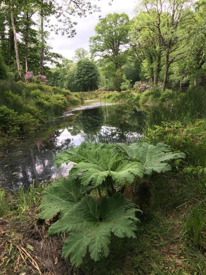 Ballyteige Lodge Ballyteige Bridge 外观 照片