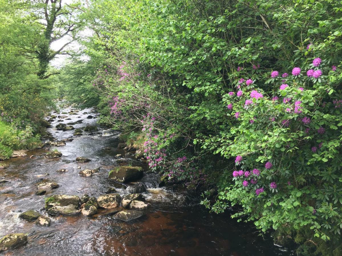 Ballyteige Lodge Ballyteige Bridge 外观 照片